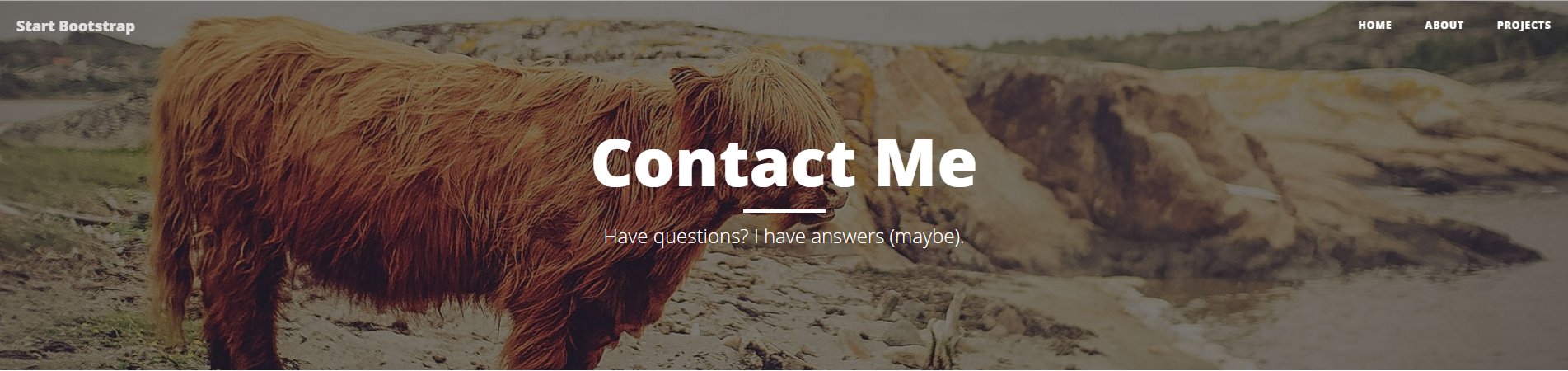 Contact Page Preview